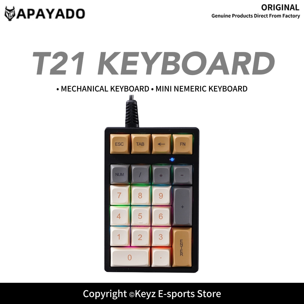 Keyboard Numpad Separate - T21 Mini-Nummernblock mit RGB-Hintergrundbeleuchtung, blauer Schalter,