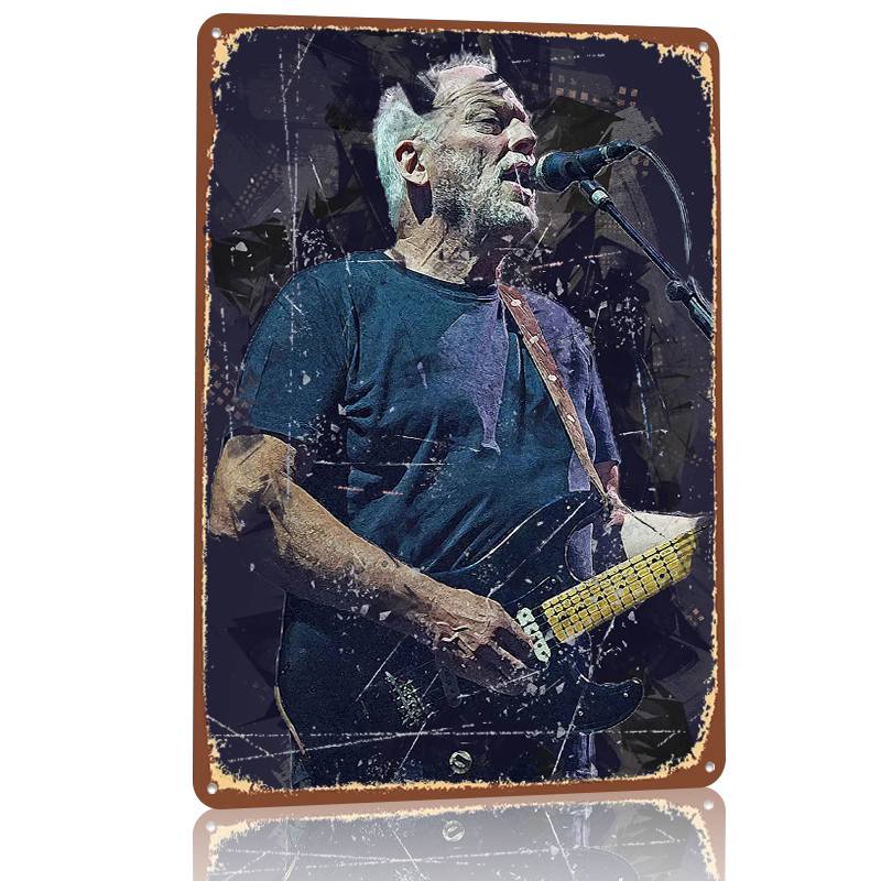 David Gilmour Metallposter Ind – Gaming Accessories Men Bewertung und Preis